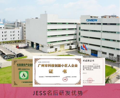 # 企业定位与市场背景